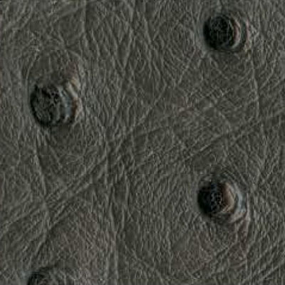 Anthracite ostrich leather