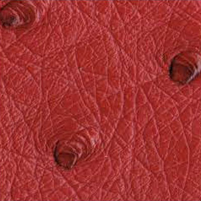 Flame ostrich leather