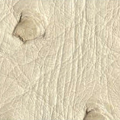 Ivory ostrich leather