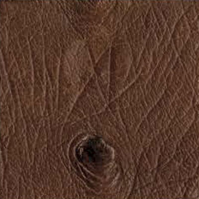 Kango ostrich leather