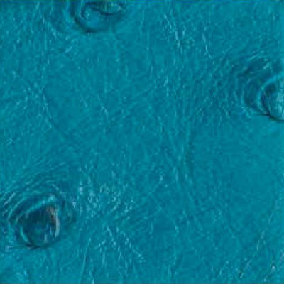 Turchese ostrich leather