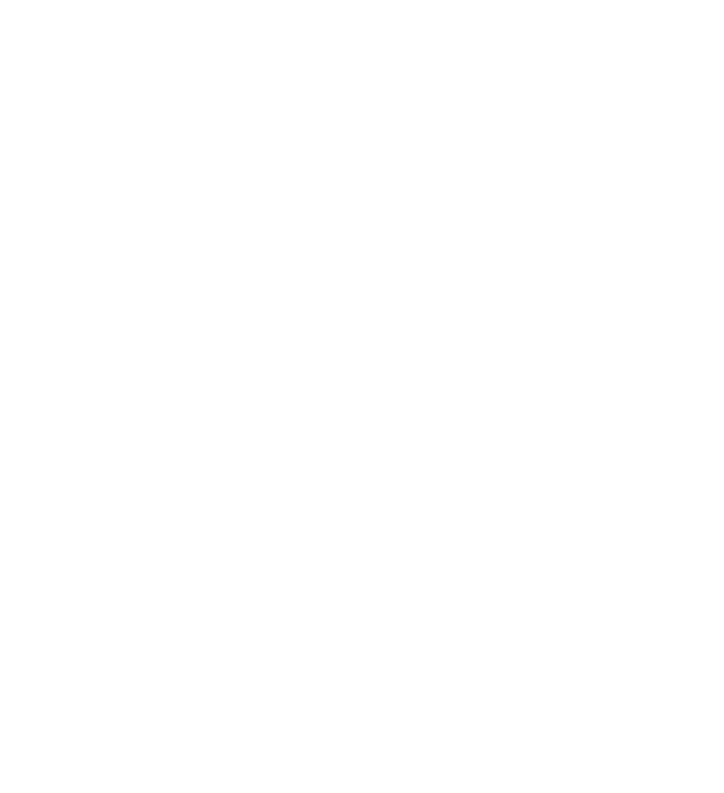 SERF&TEIN mark